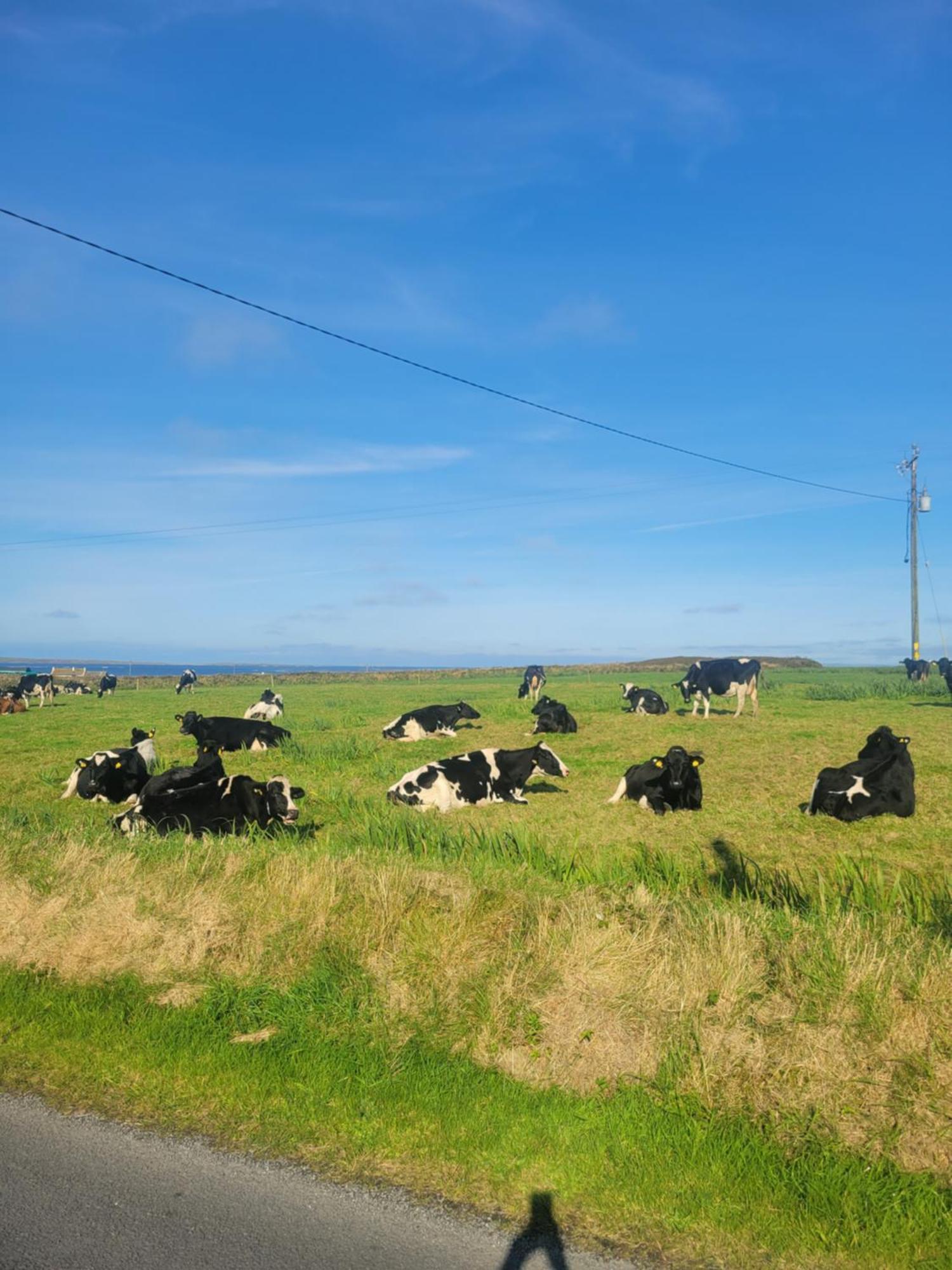 Coastal View Cottage Mullagh  Exterior foto